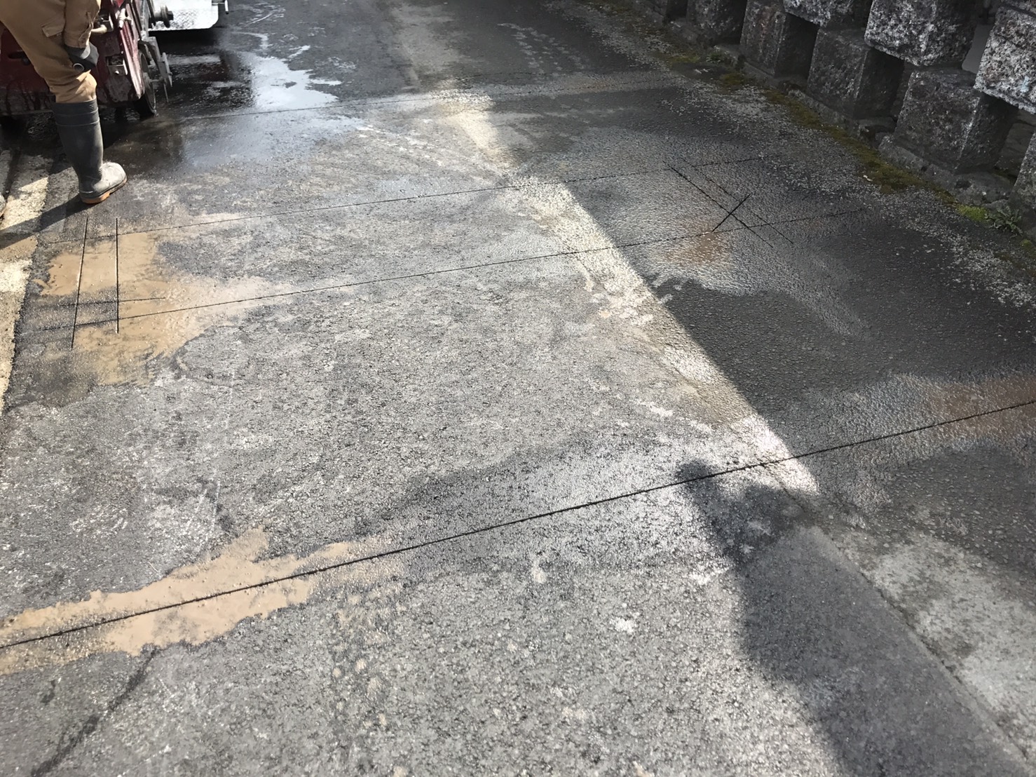s__39231497