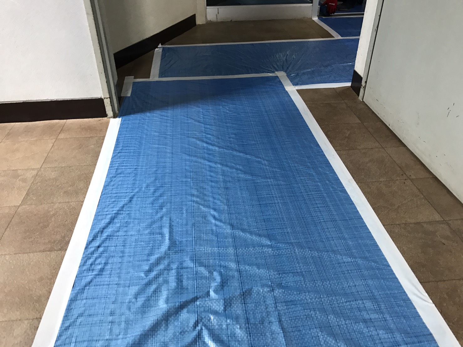 s__40493076