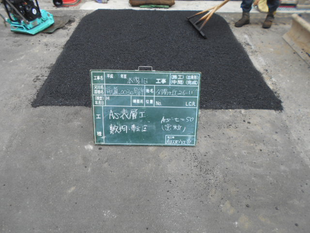 dscn8875