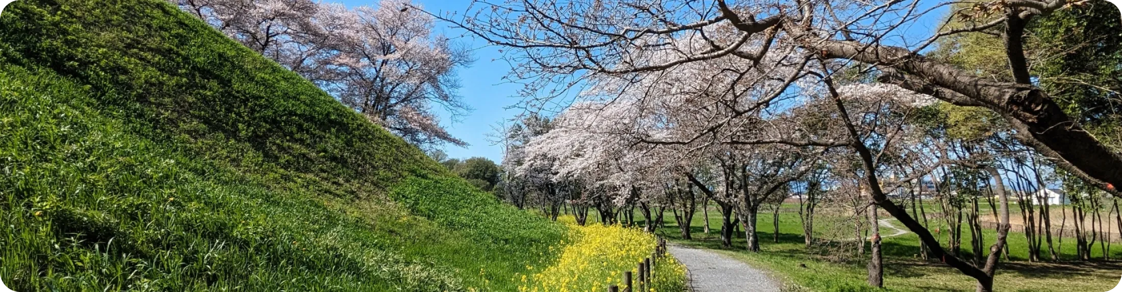 その他の対応エリアマップ